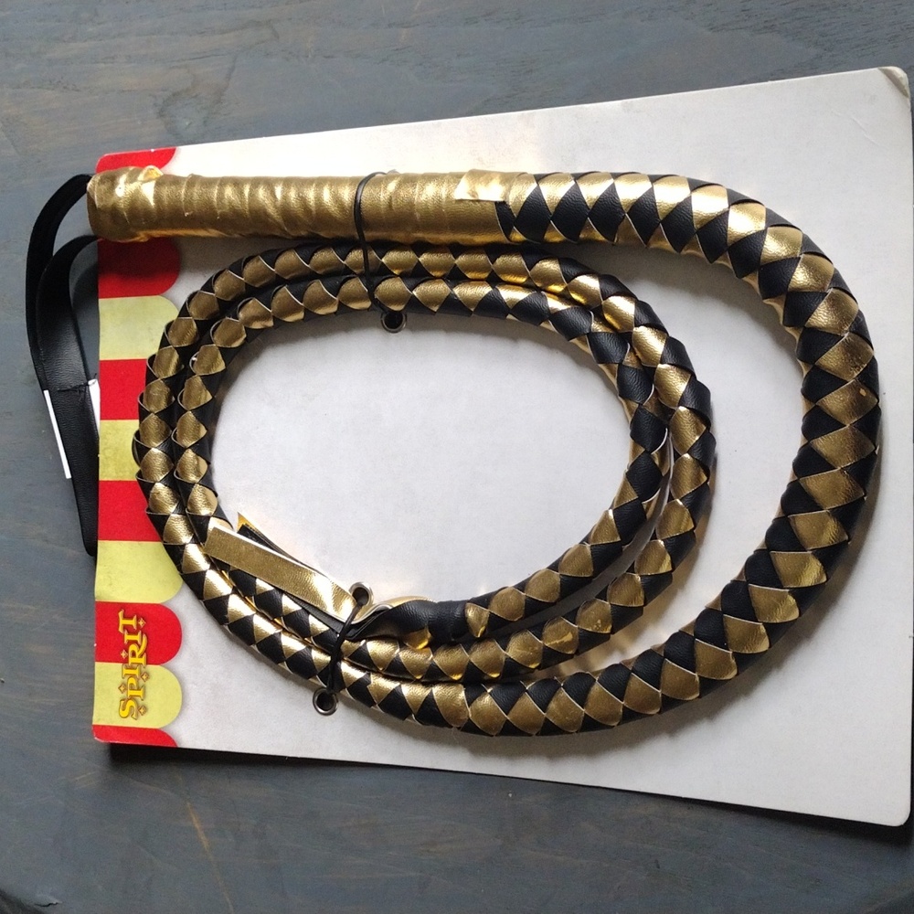 Ring Master Whip